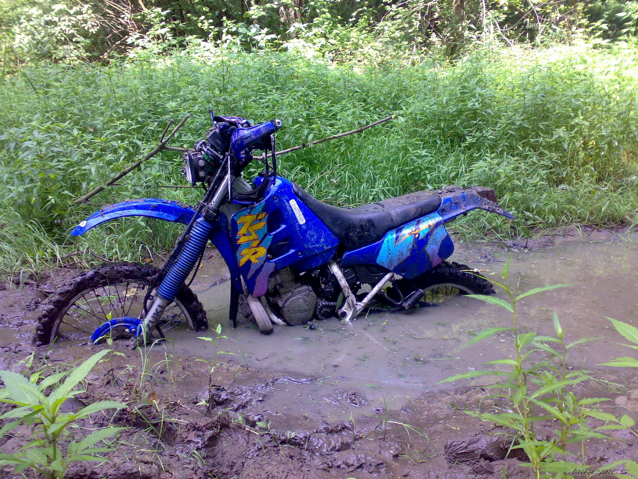 Bike Photo 1043974