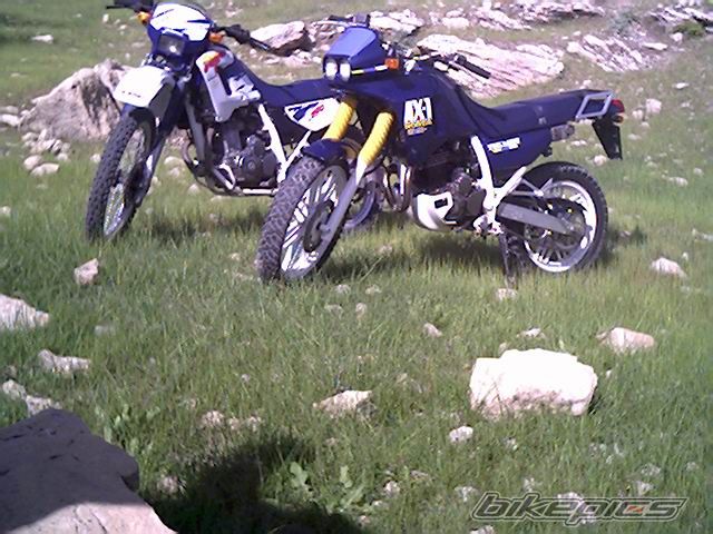 Bike Photo 1043981