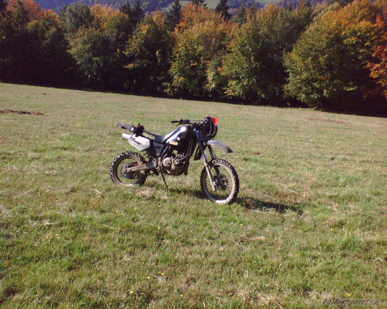 Photo 1044057