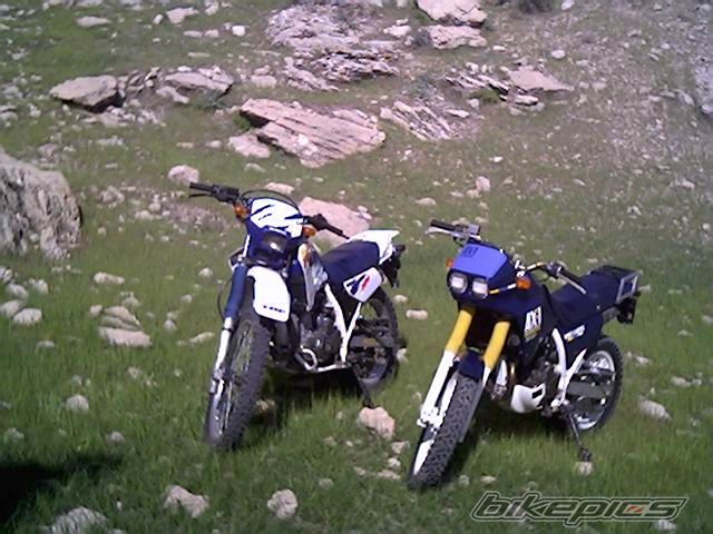Bike Photo 1044086