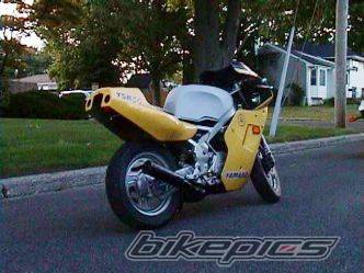 Photo 10442