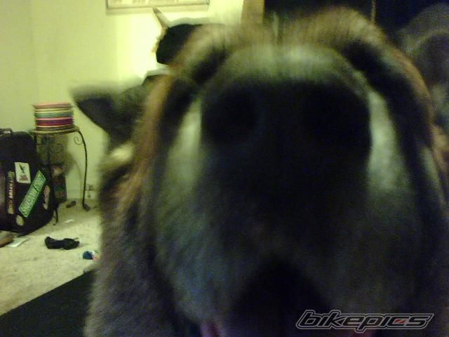 Photo 1044226