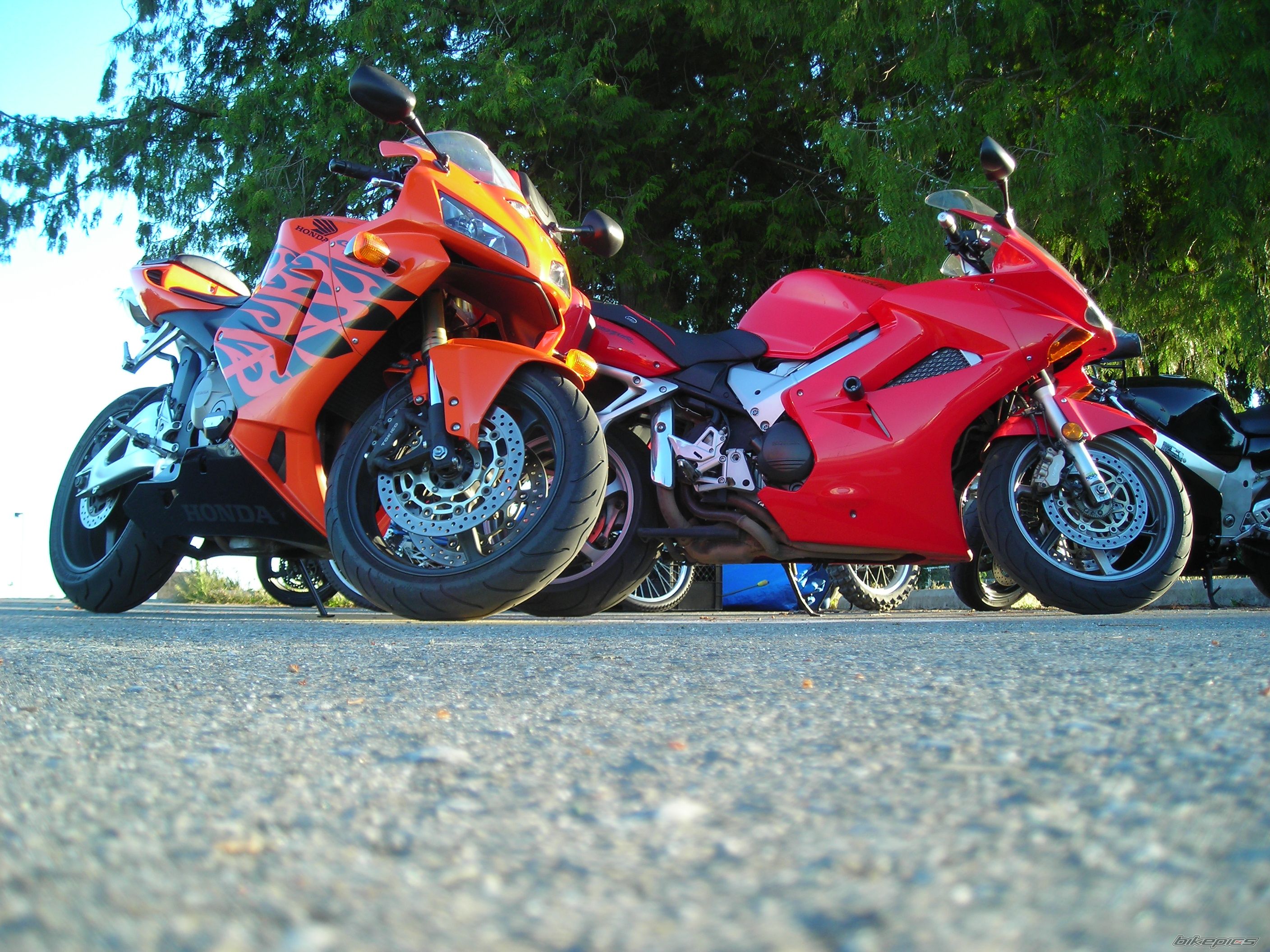 Photo 1044492