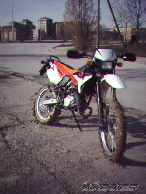 Photo 104481