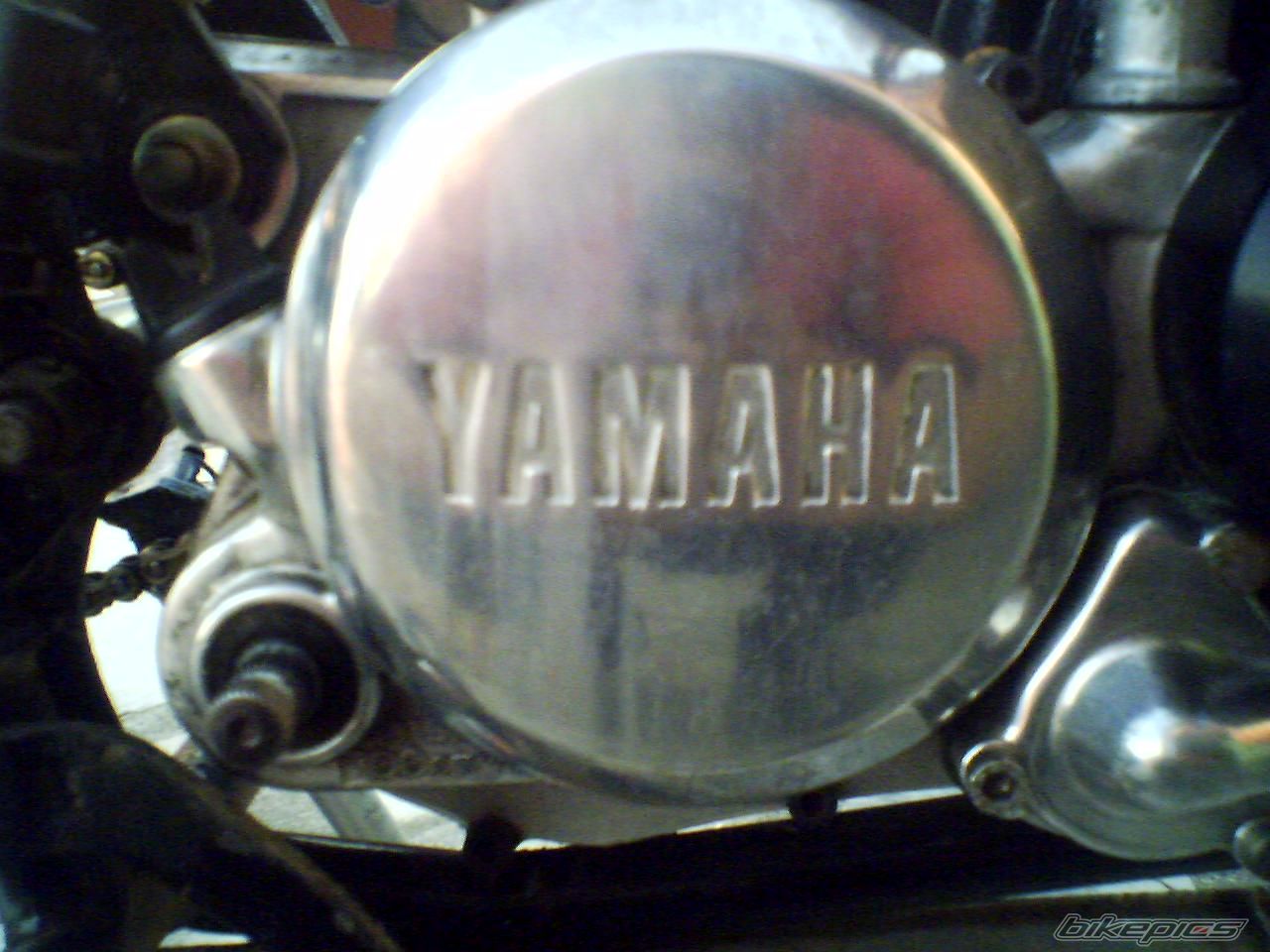 Photo 1045006