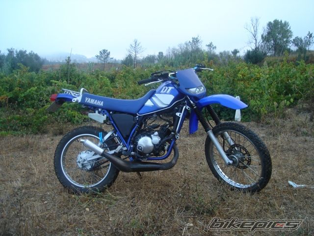 Photo 1045042