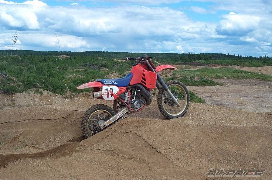 Photo 10452