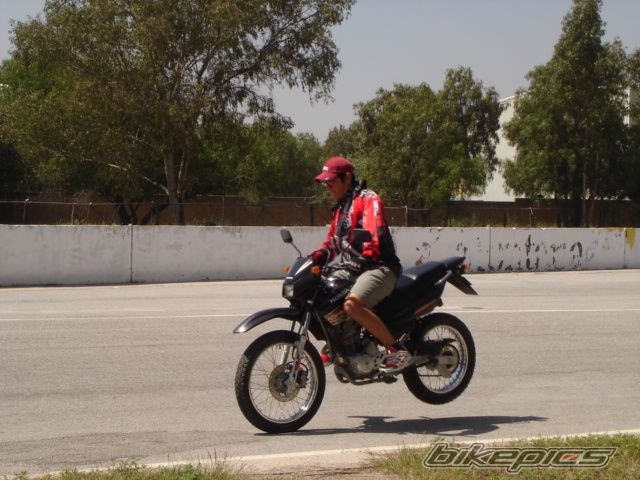 Photo 1045254