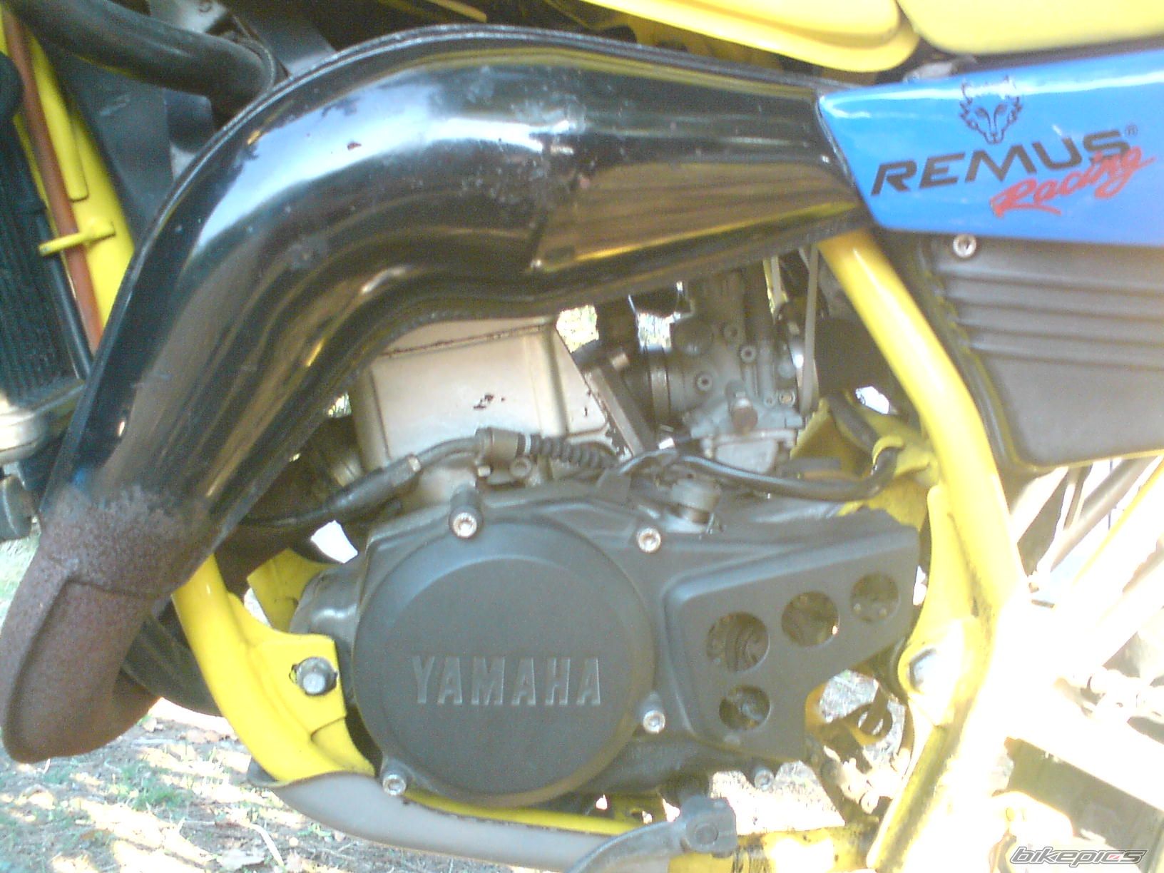 Photo 1045492