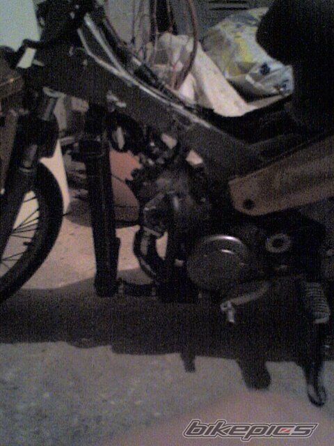 Photo 1045662