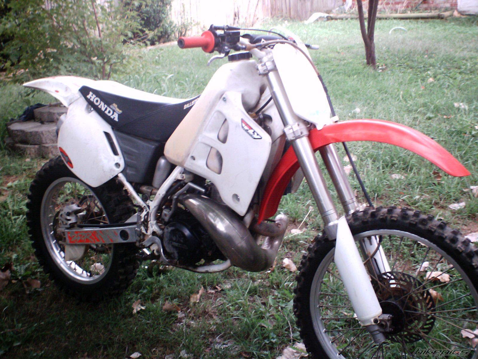 Photo 1045782