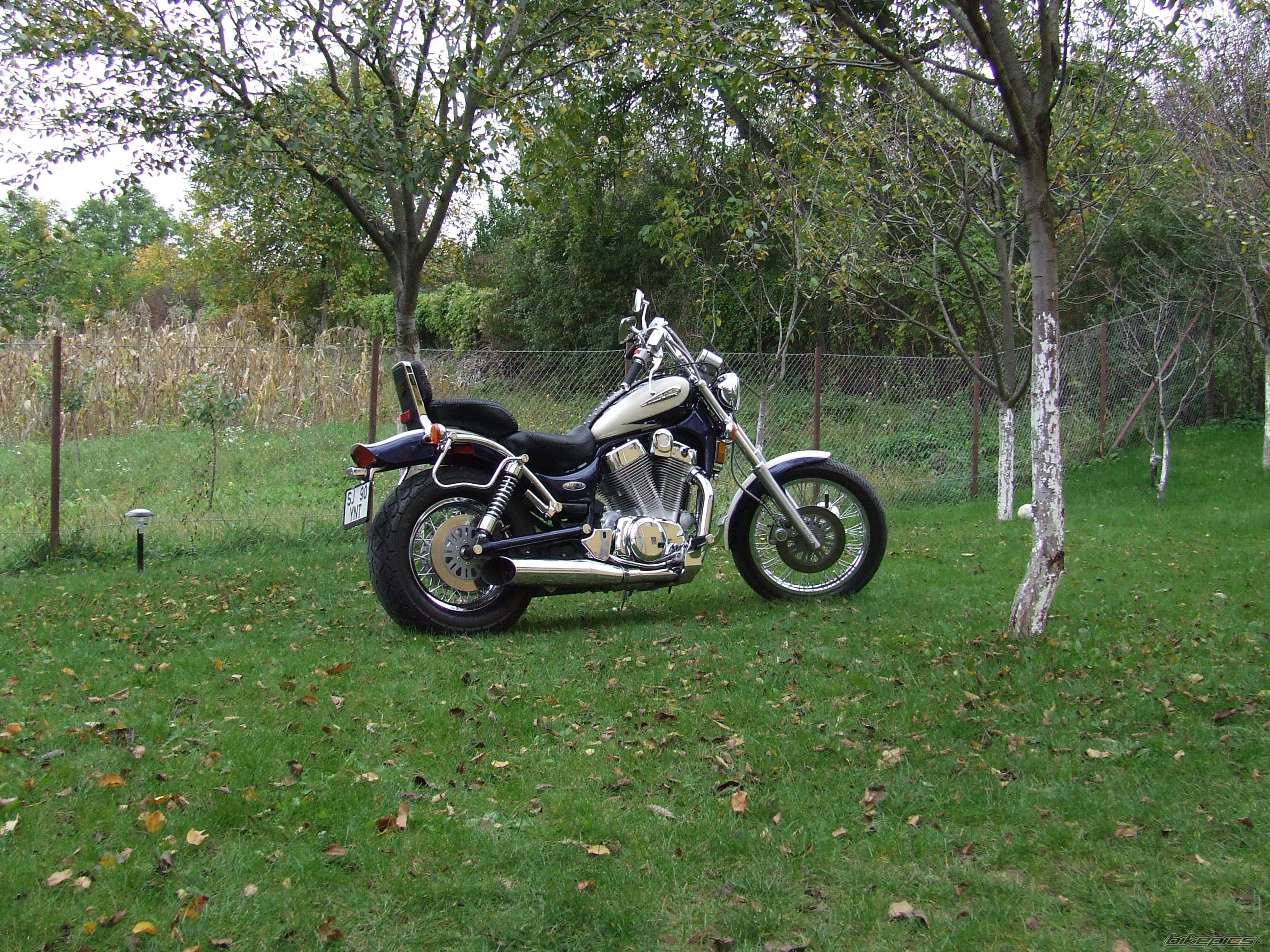 Photo 1045878