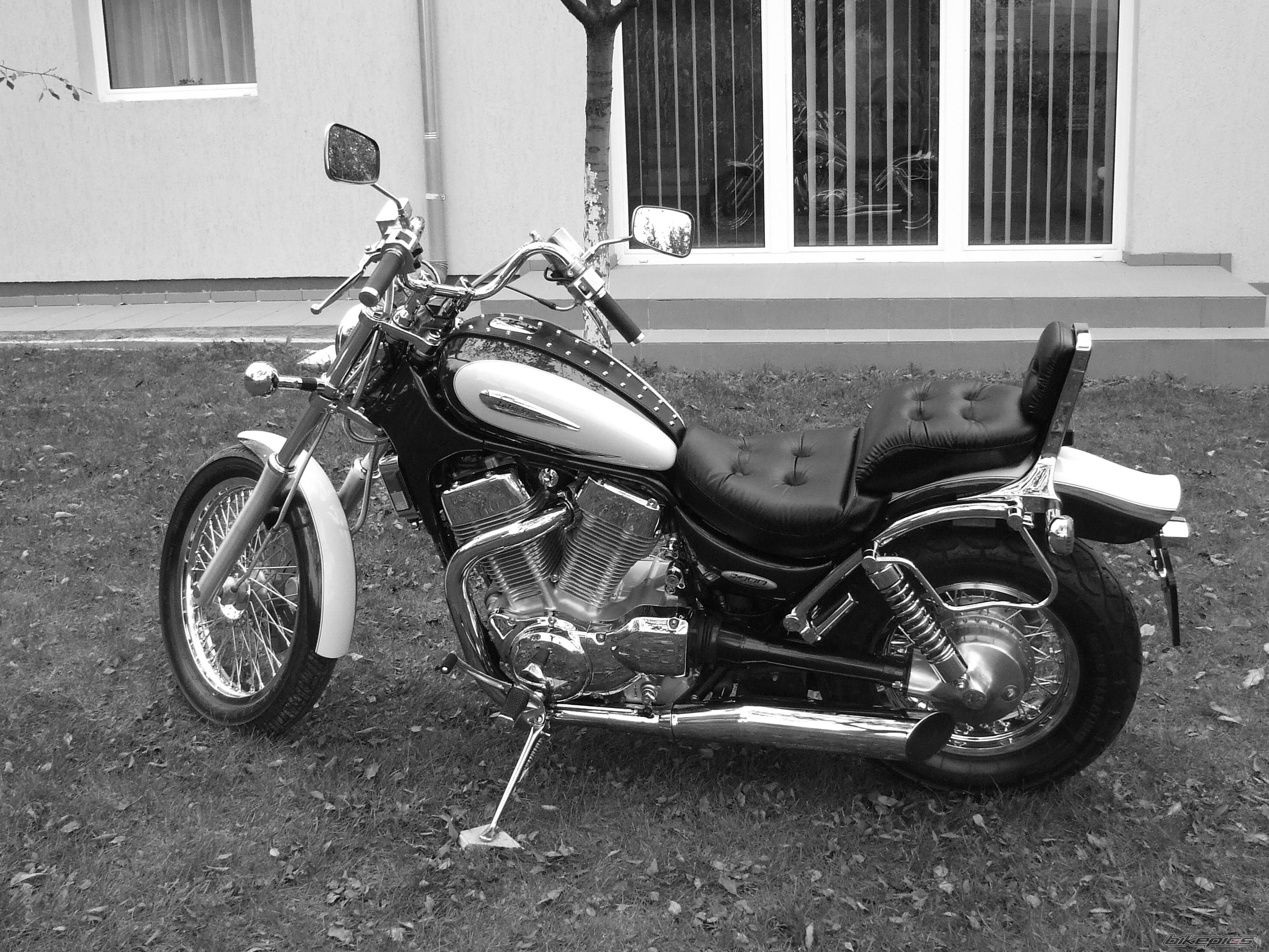 Photo 1045880