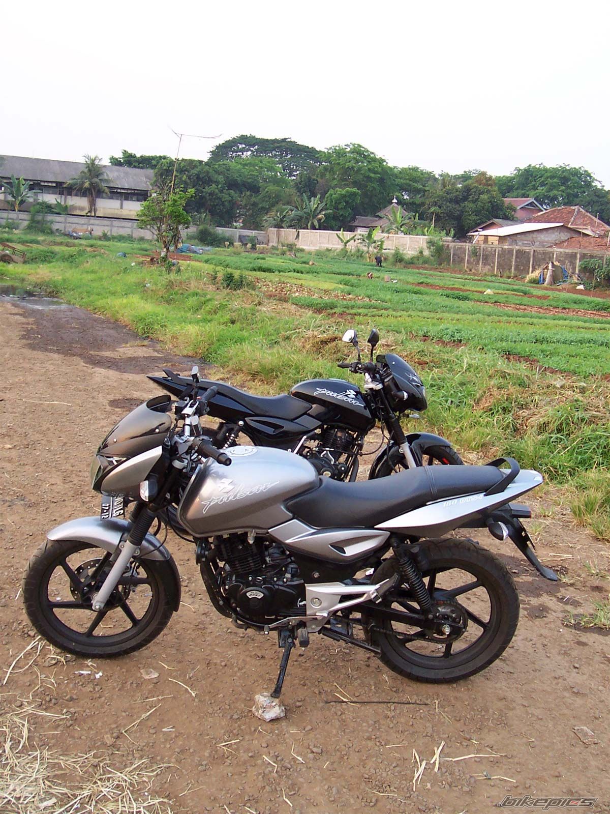 Photo 1045969