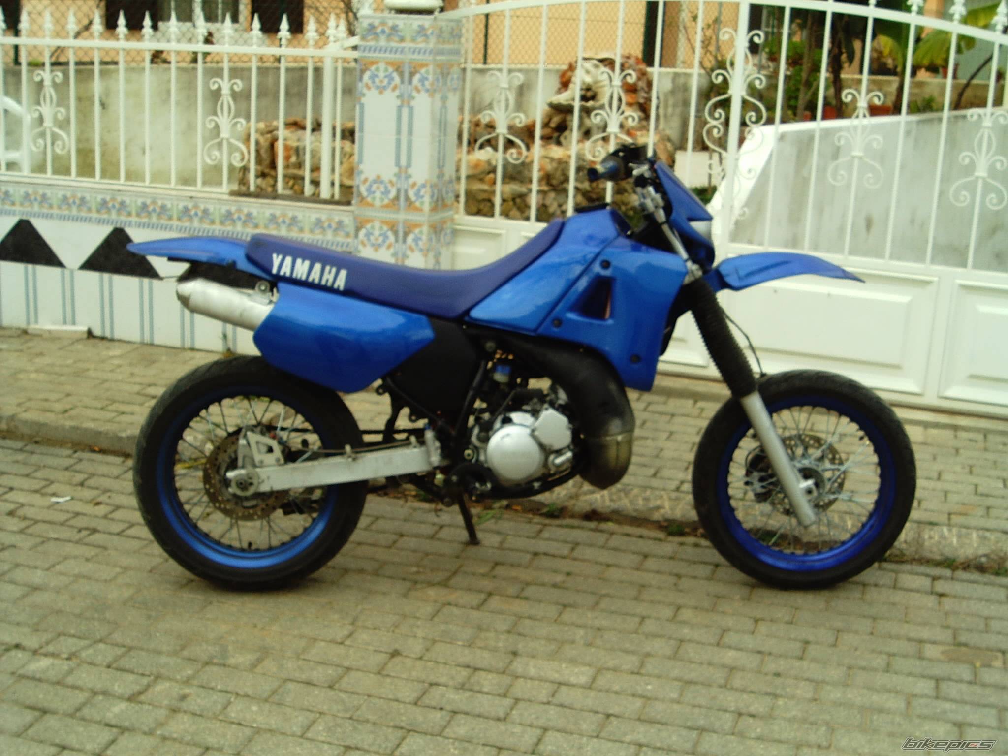 Photo 104597