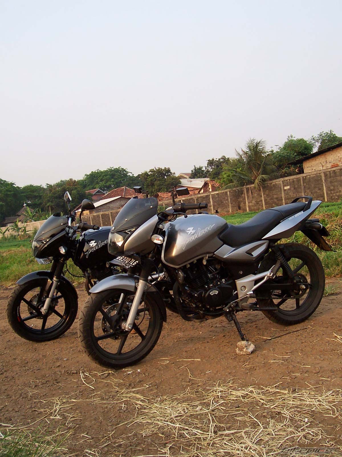 Photo 1045982