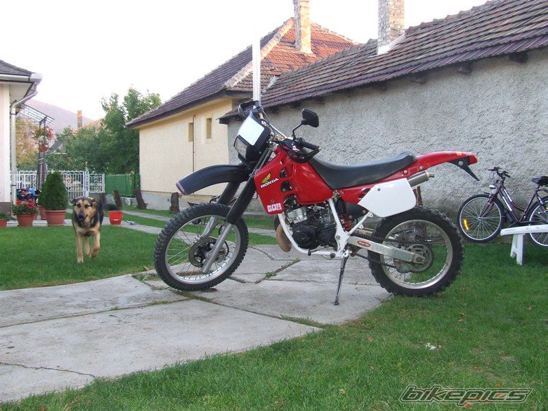 Photo 1046010