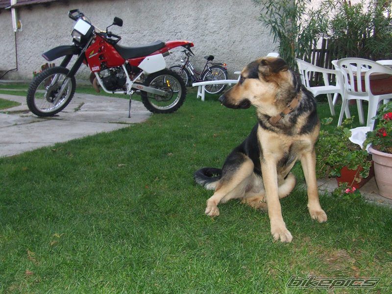 Photo 1046013
