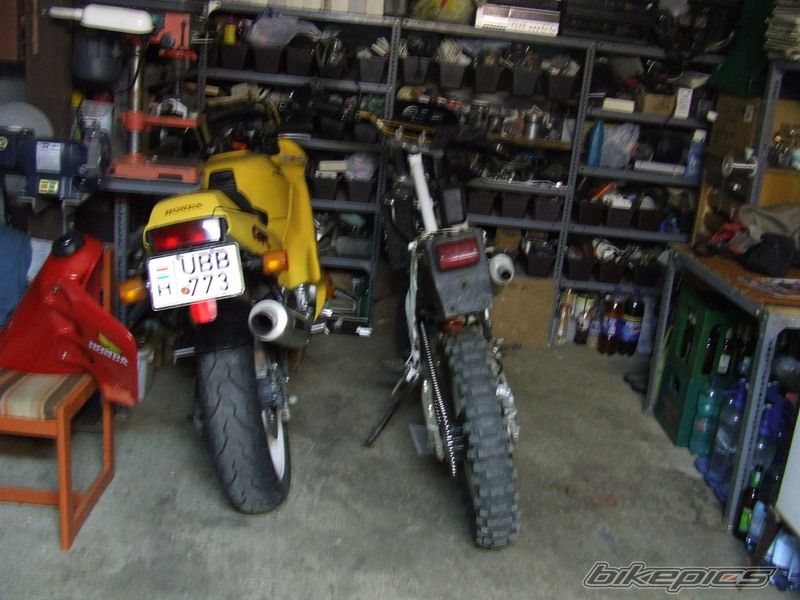 Photo 1046029