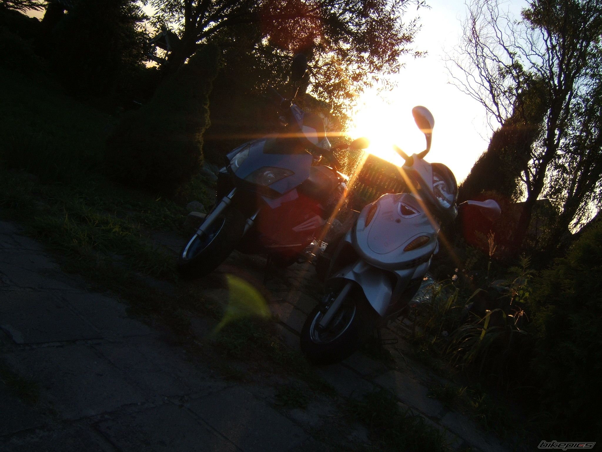 Photo 1046057