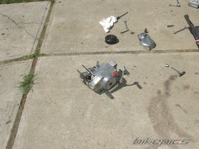 Photo 1046071