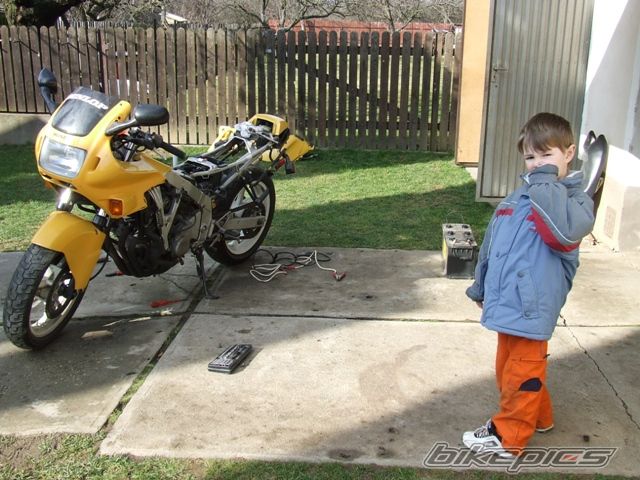 Photo 1046087