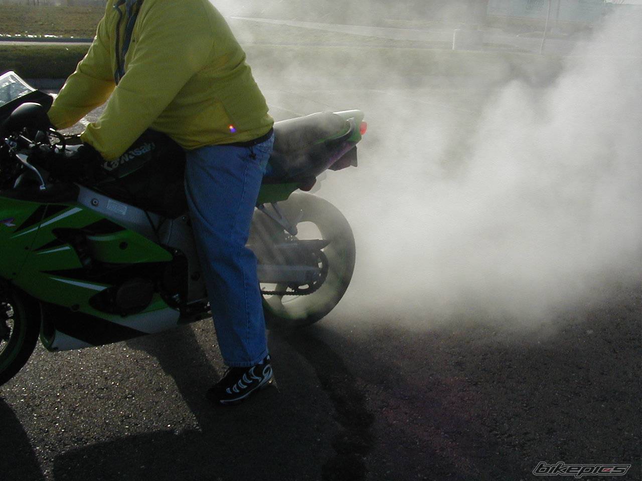 Photo 10461