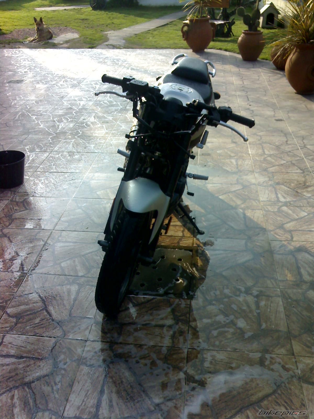 Photo 1046228
