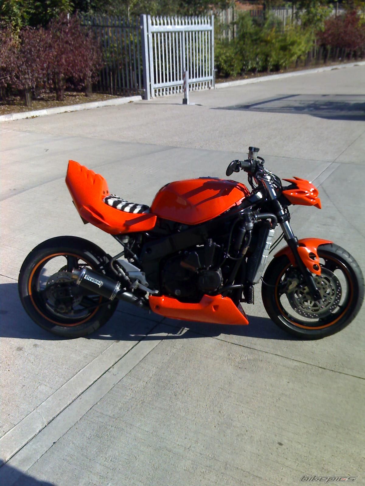Photo 1046426