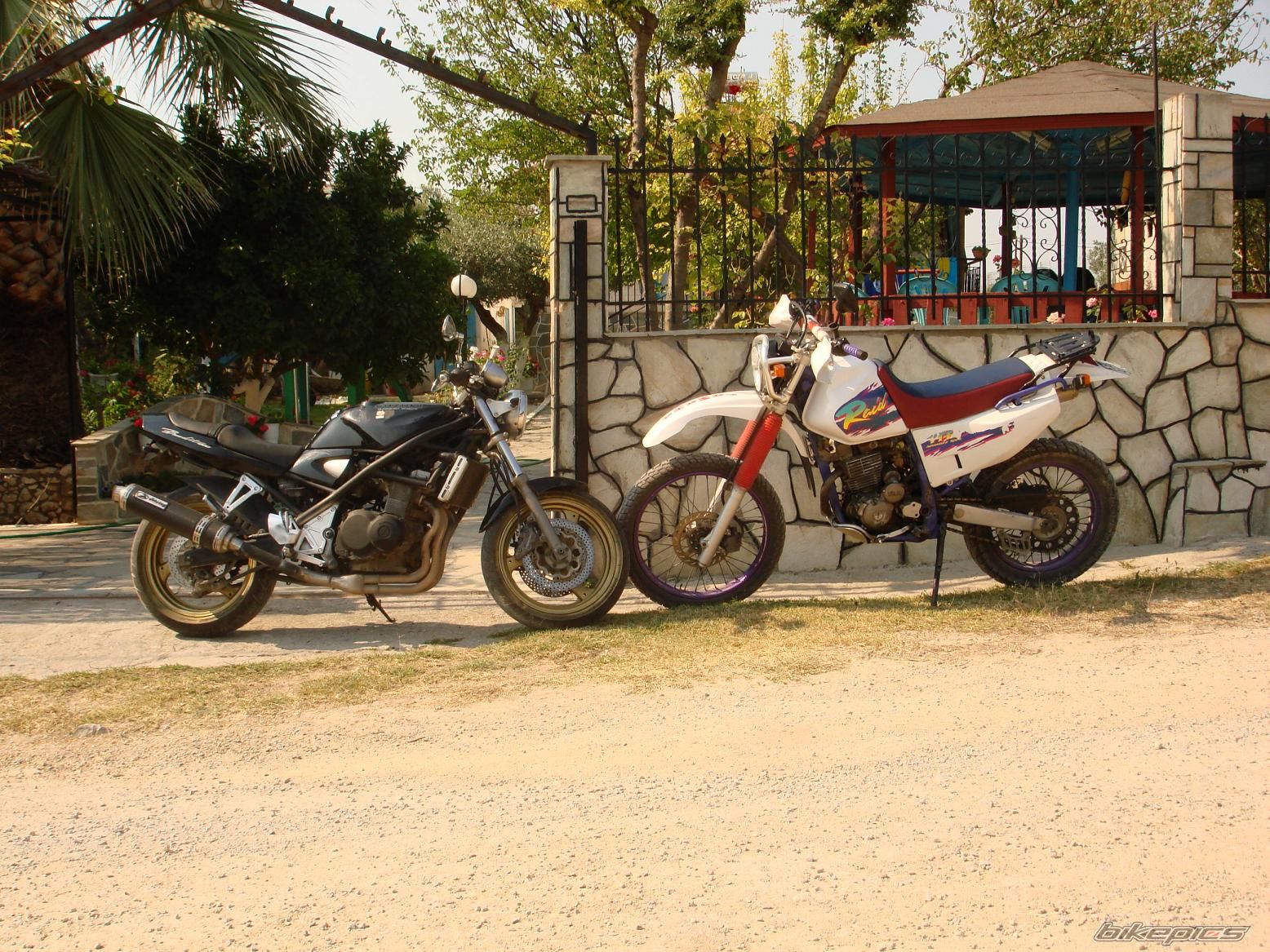 Bike Photo 1046631