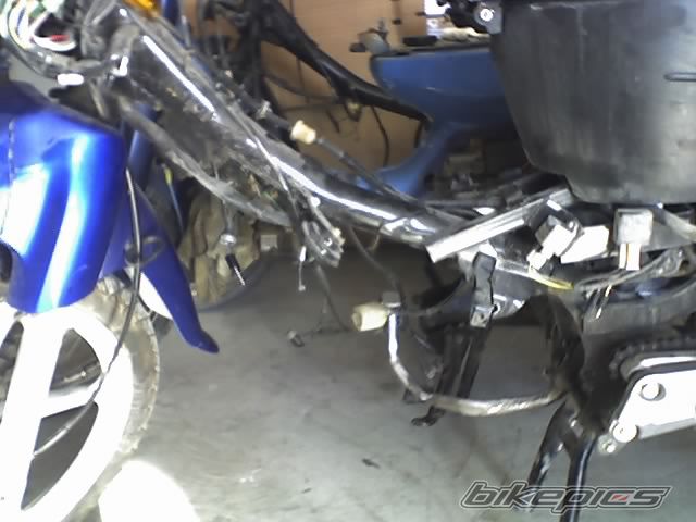 Photo 1046900
