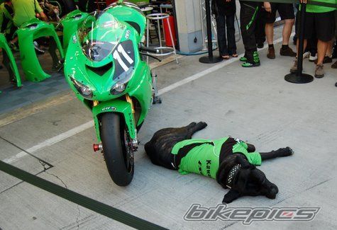 Bike Photo 1047328