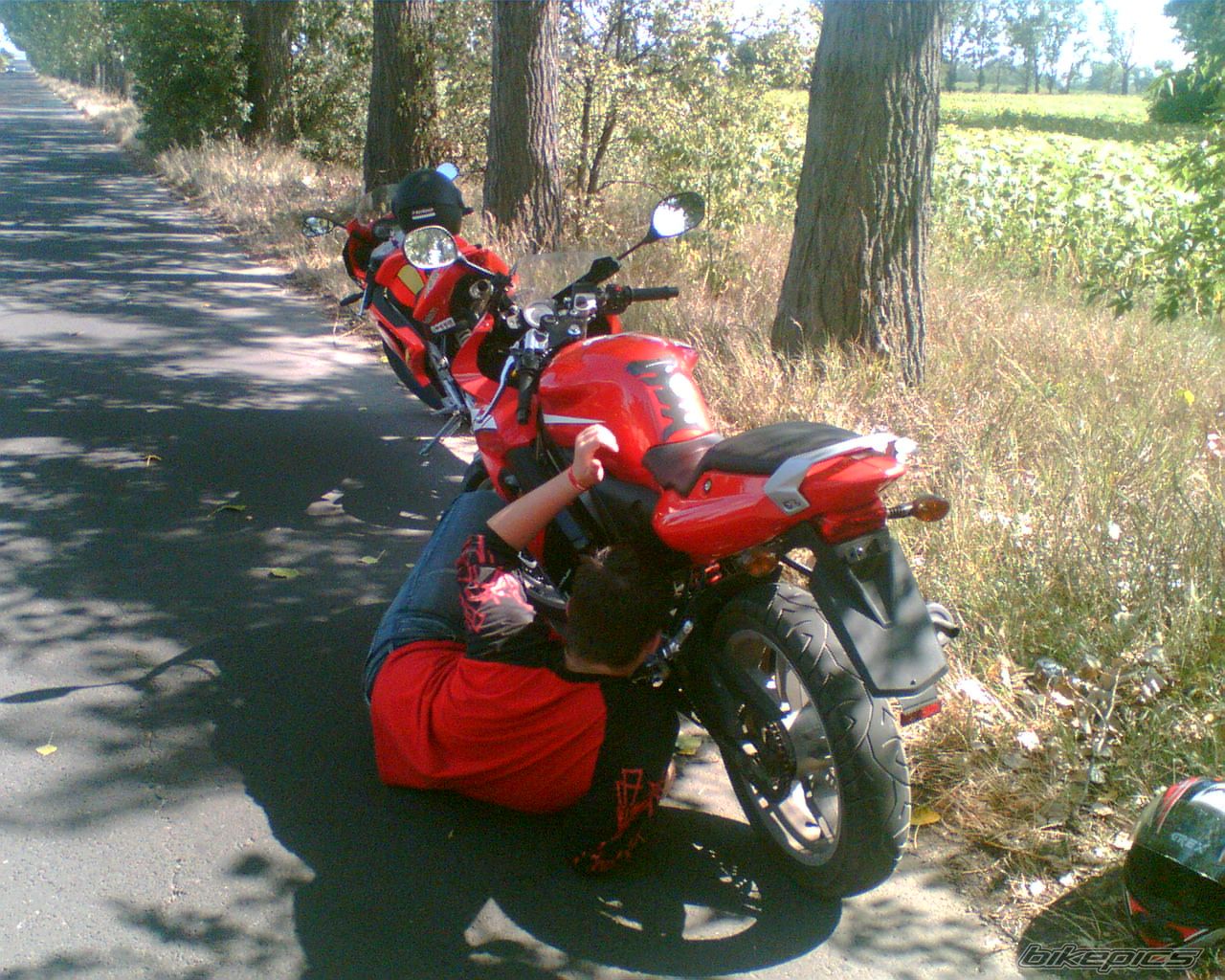 Photo 1047420