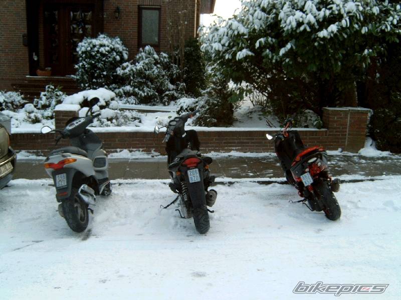 Photo 104744
