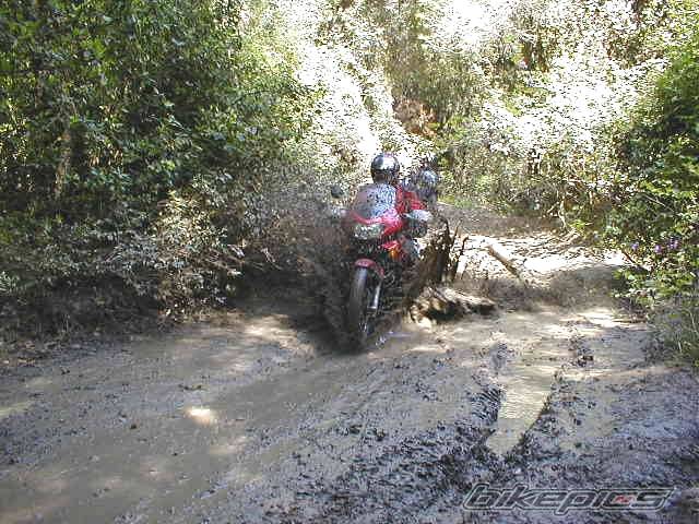 Photo 10475