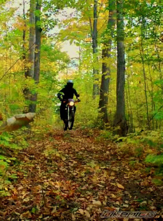 Bike Photo 1047781