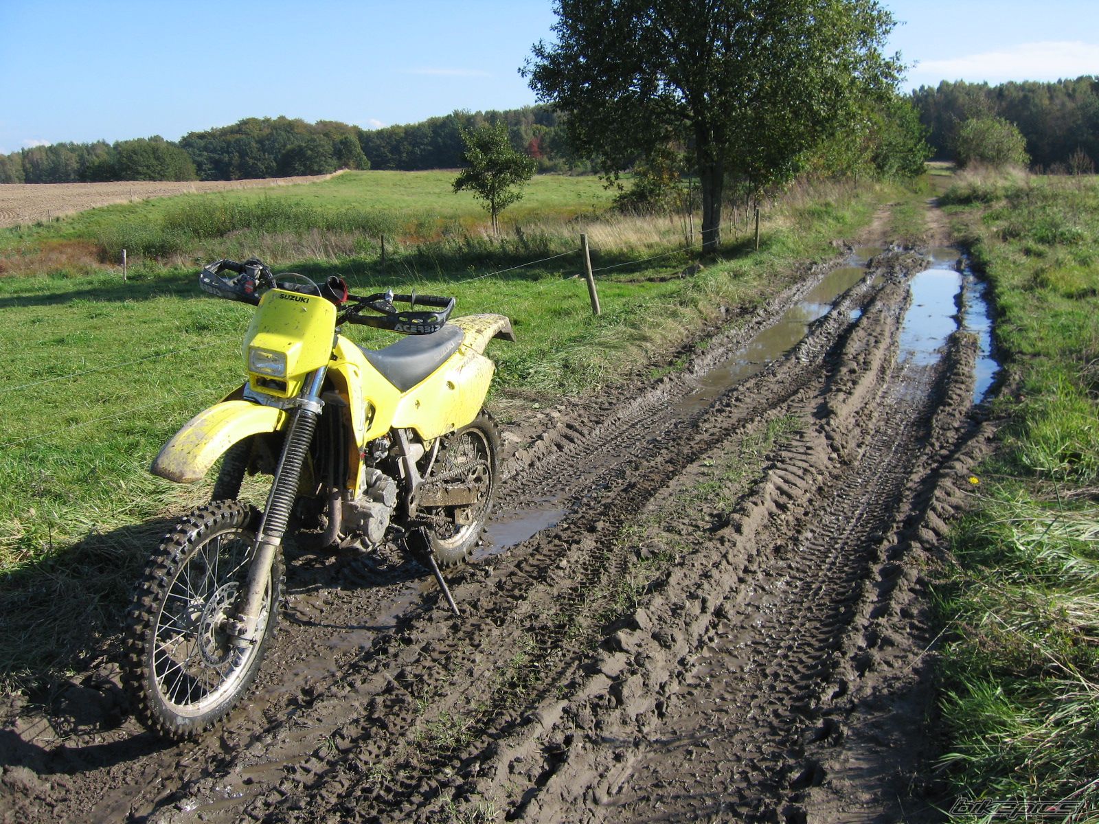 Photo 1047851