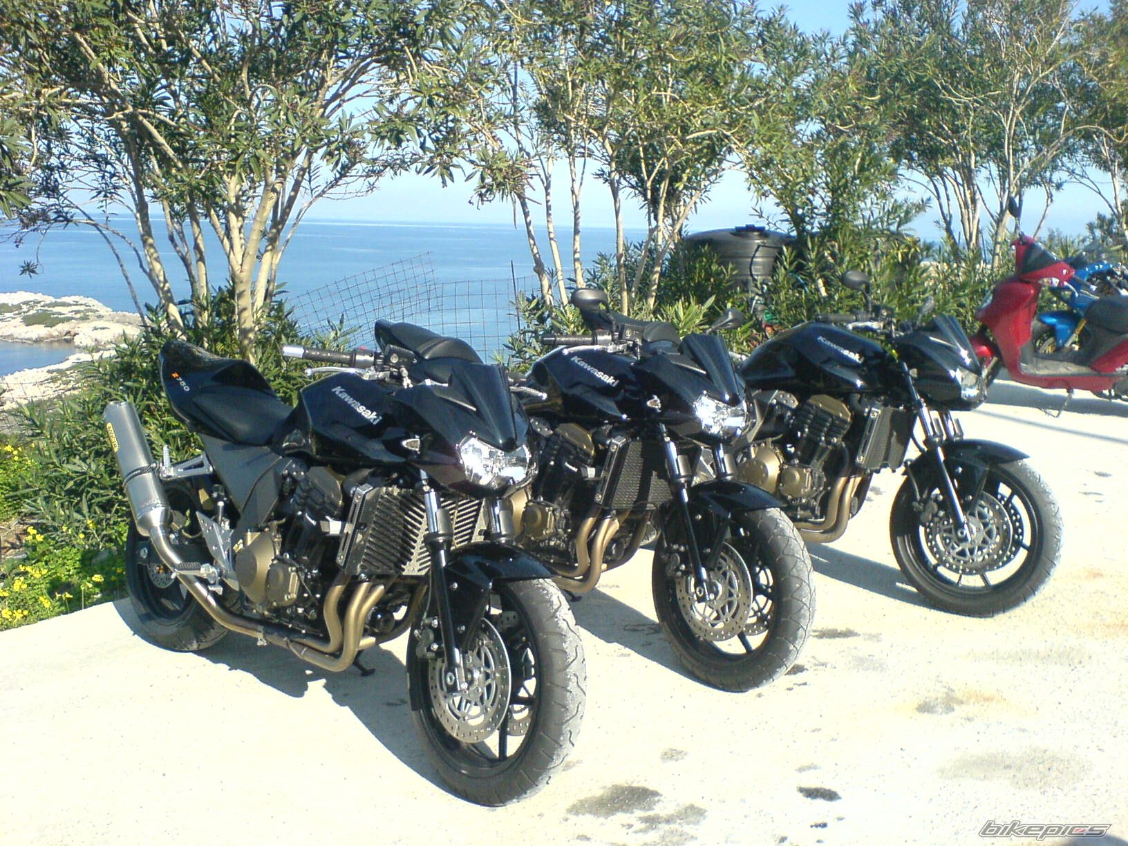 Photo 1047979