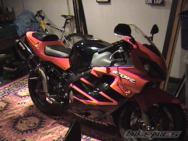 Photo 104799