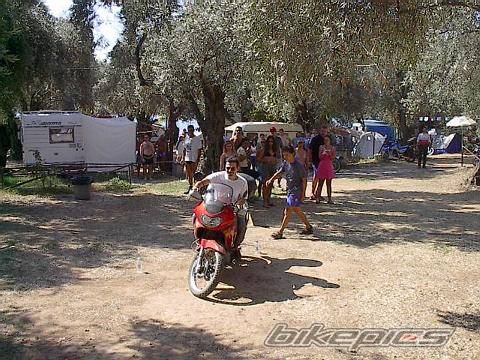 Photo 10480