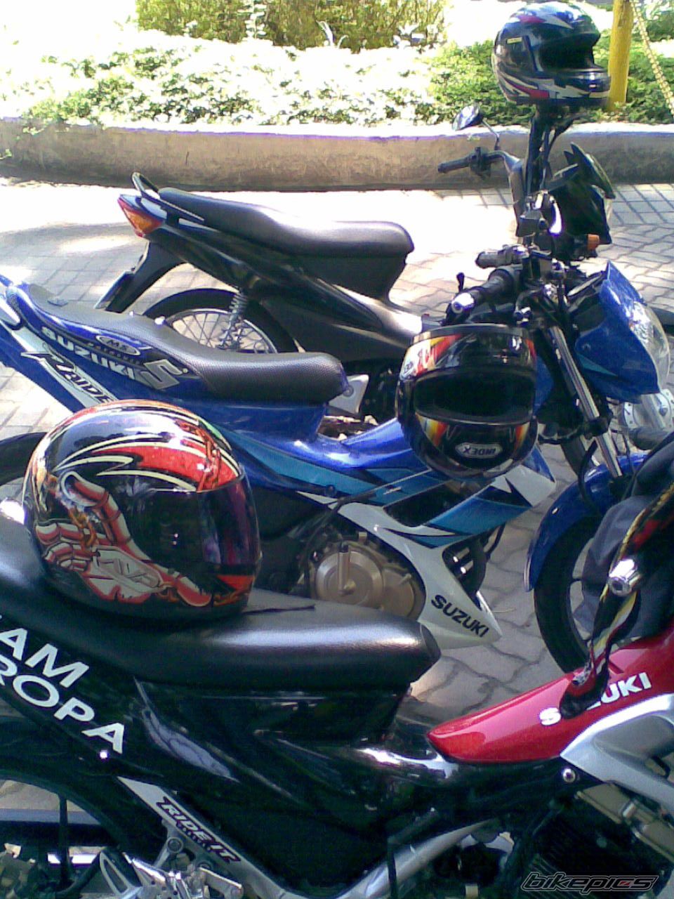 Photo 1048091