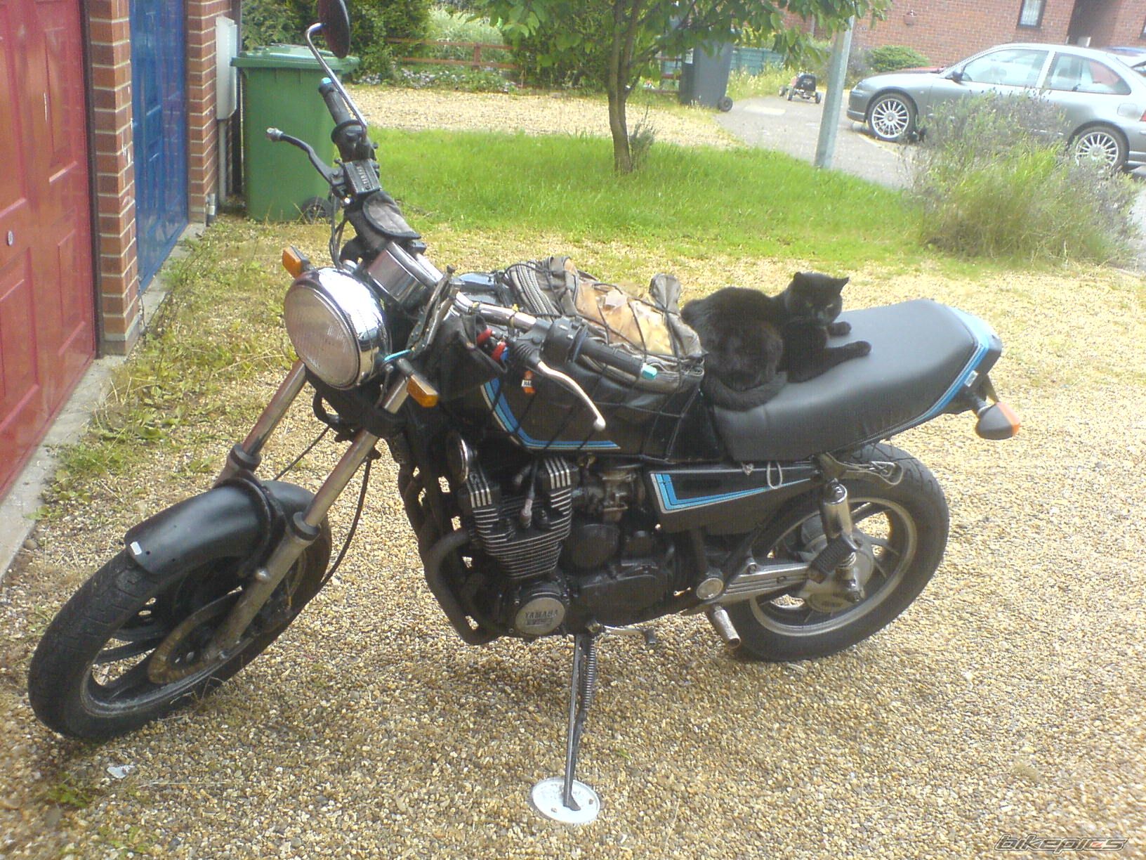 Photo 1048163