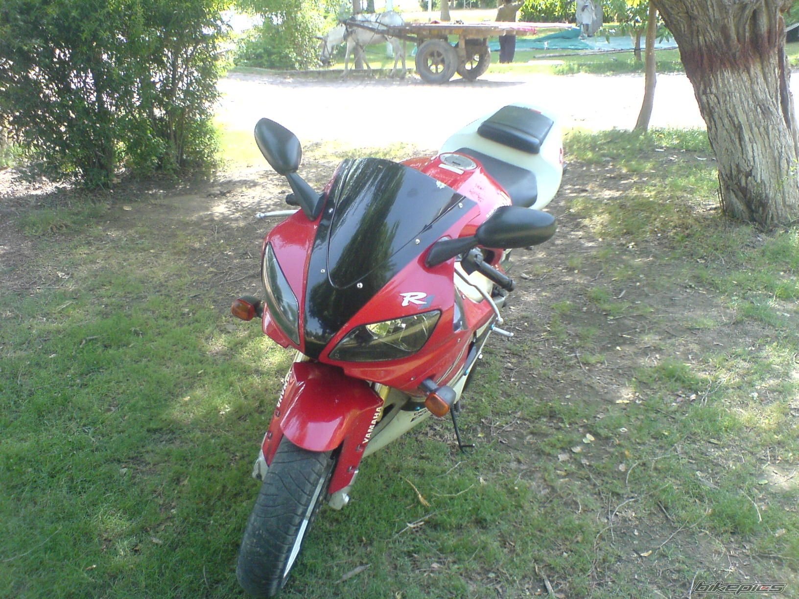 Photo 1048217