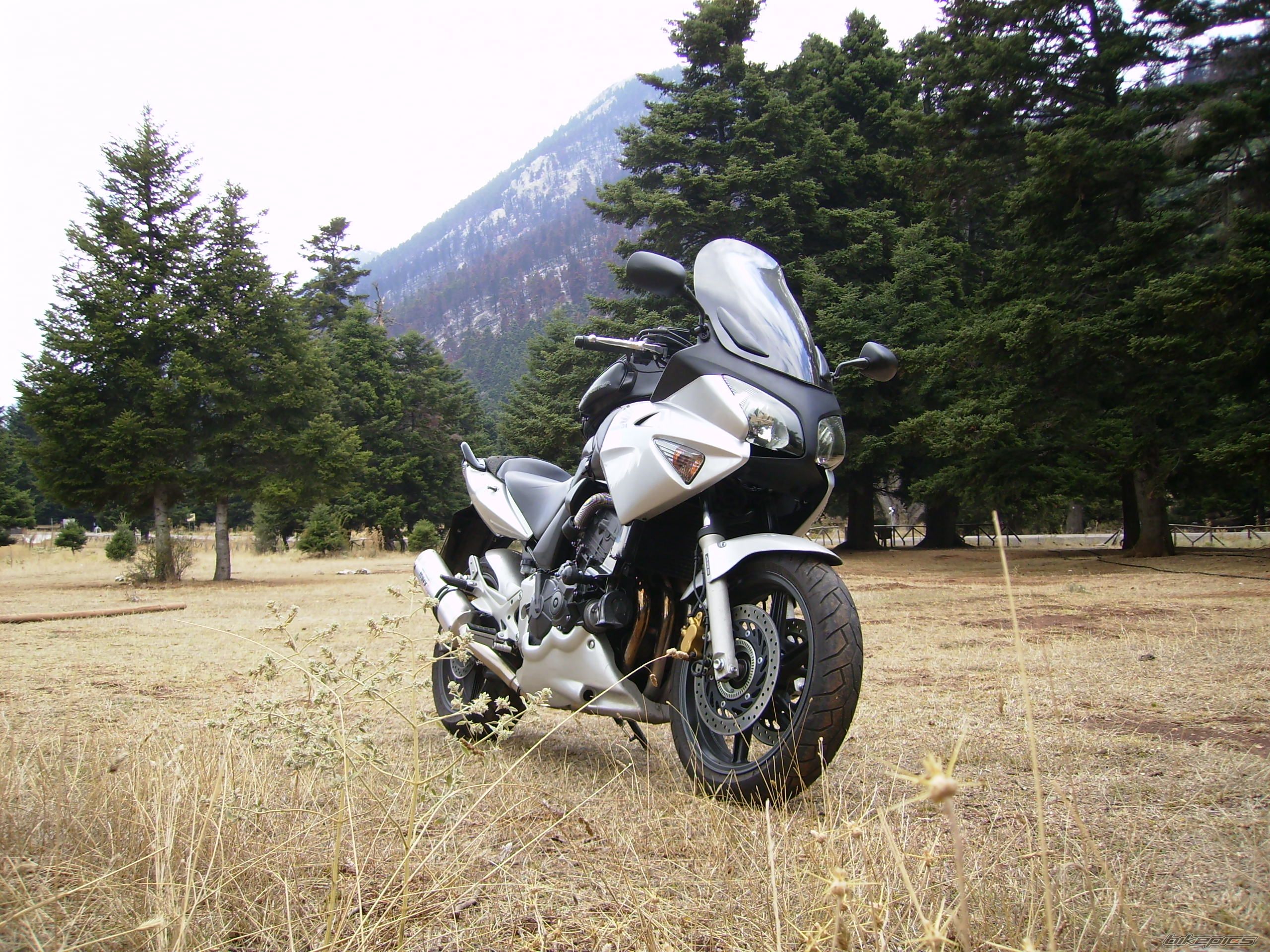 Photo 1048246