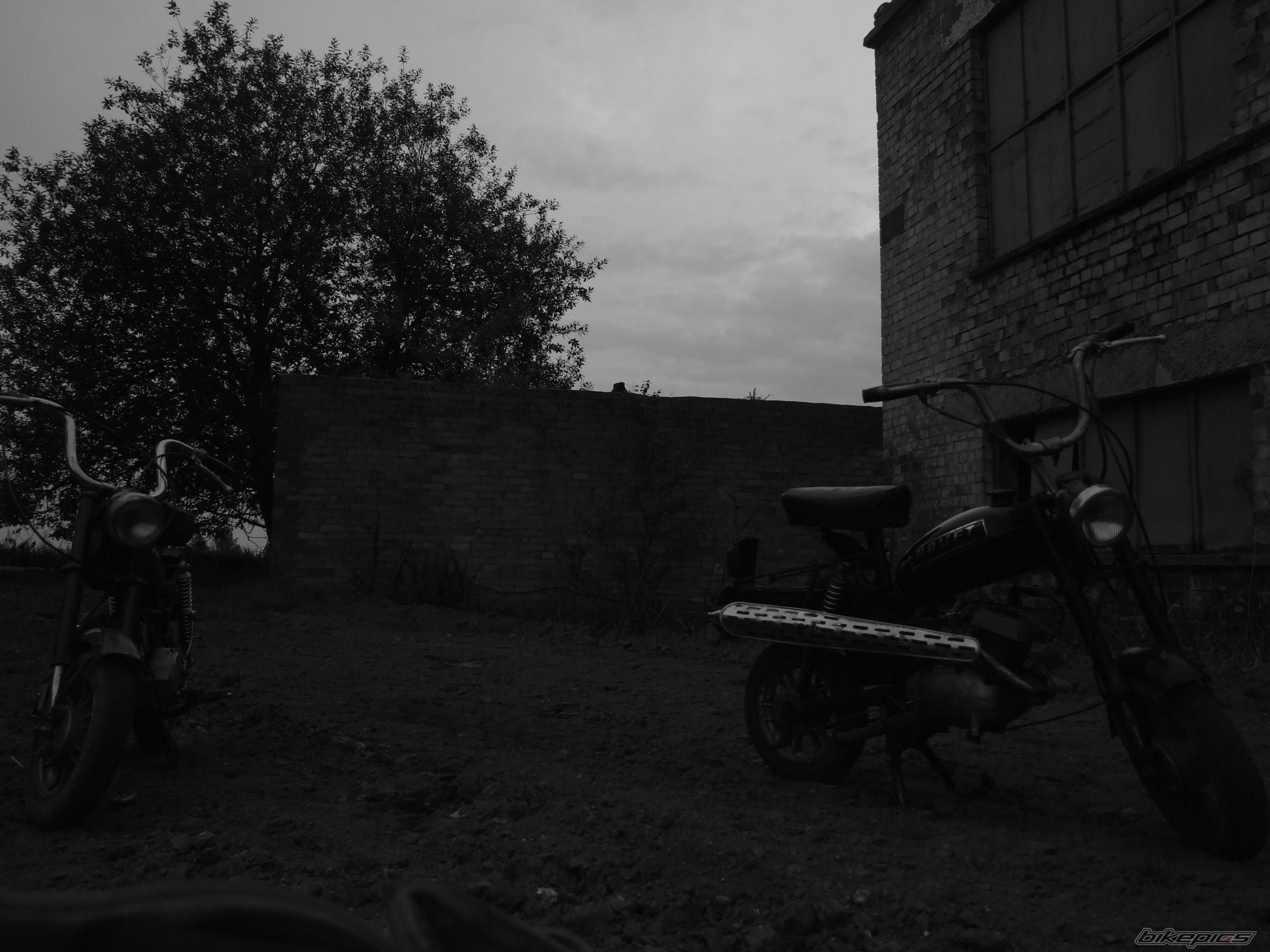 Photo 1048493