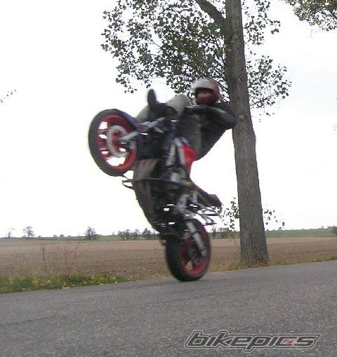 Bike Photo 1048628