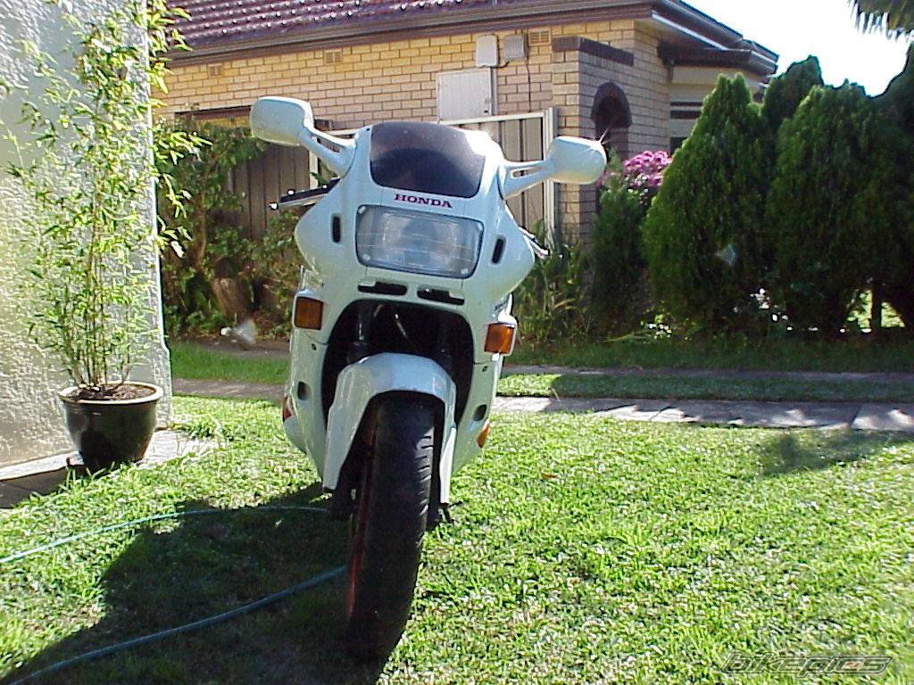 Photo 10490