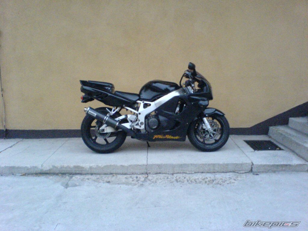 Photo 1049214