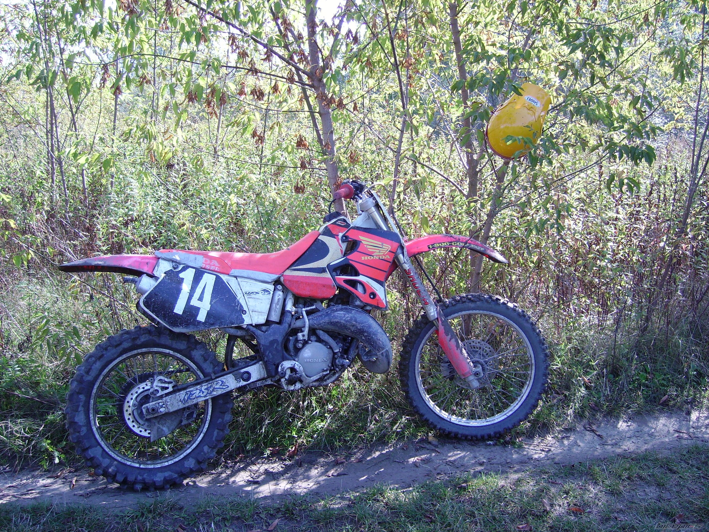 Photo 1049305