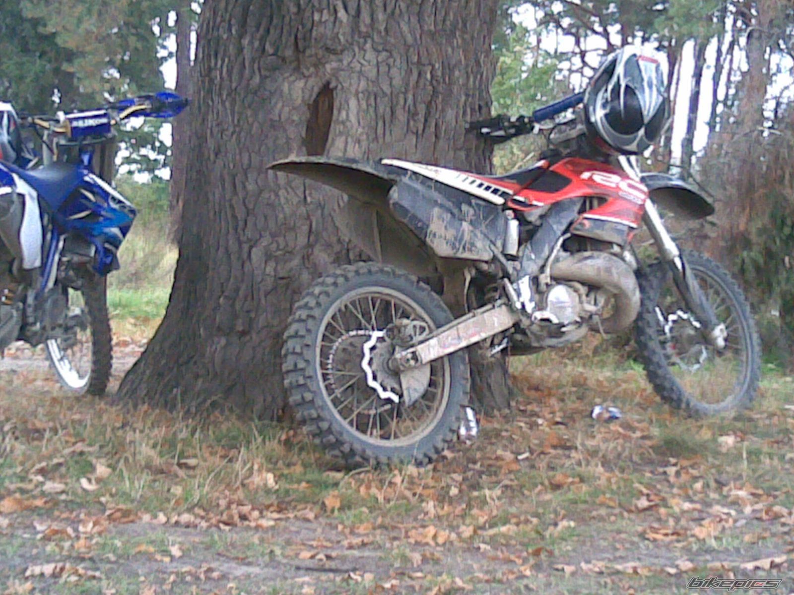 Photo 1049382